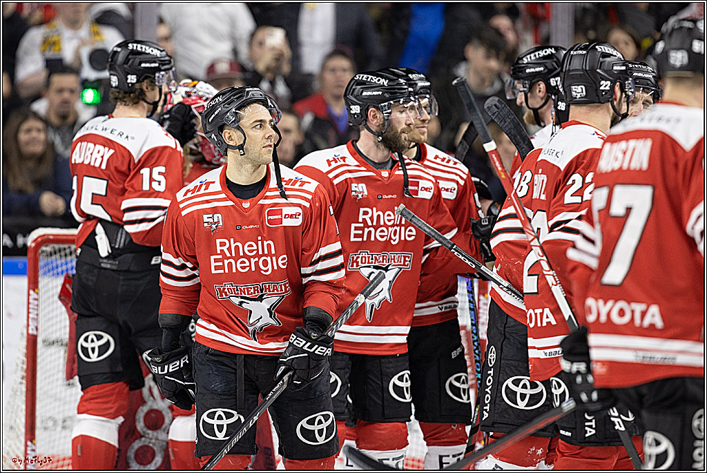 PENNY DEL;  Koelner Haie - Bietigheim Steelers; Koeln, 22.01.2023